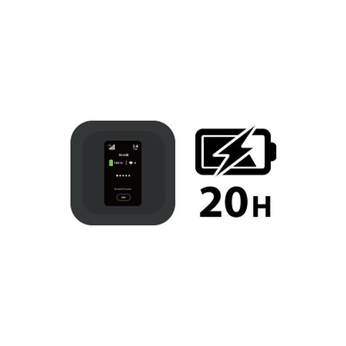 docomo FS040W(30GB)