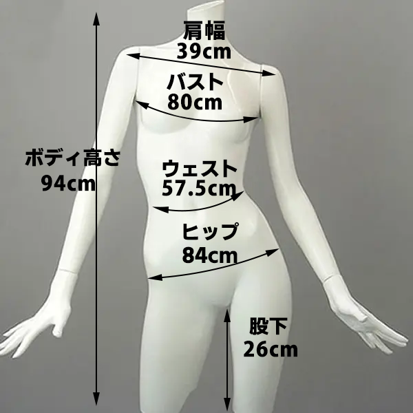 レディス・アクティブトルソー